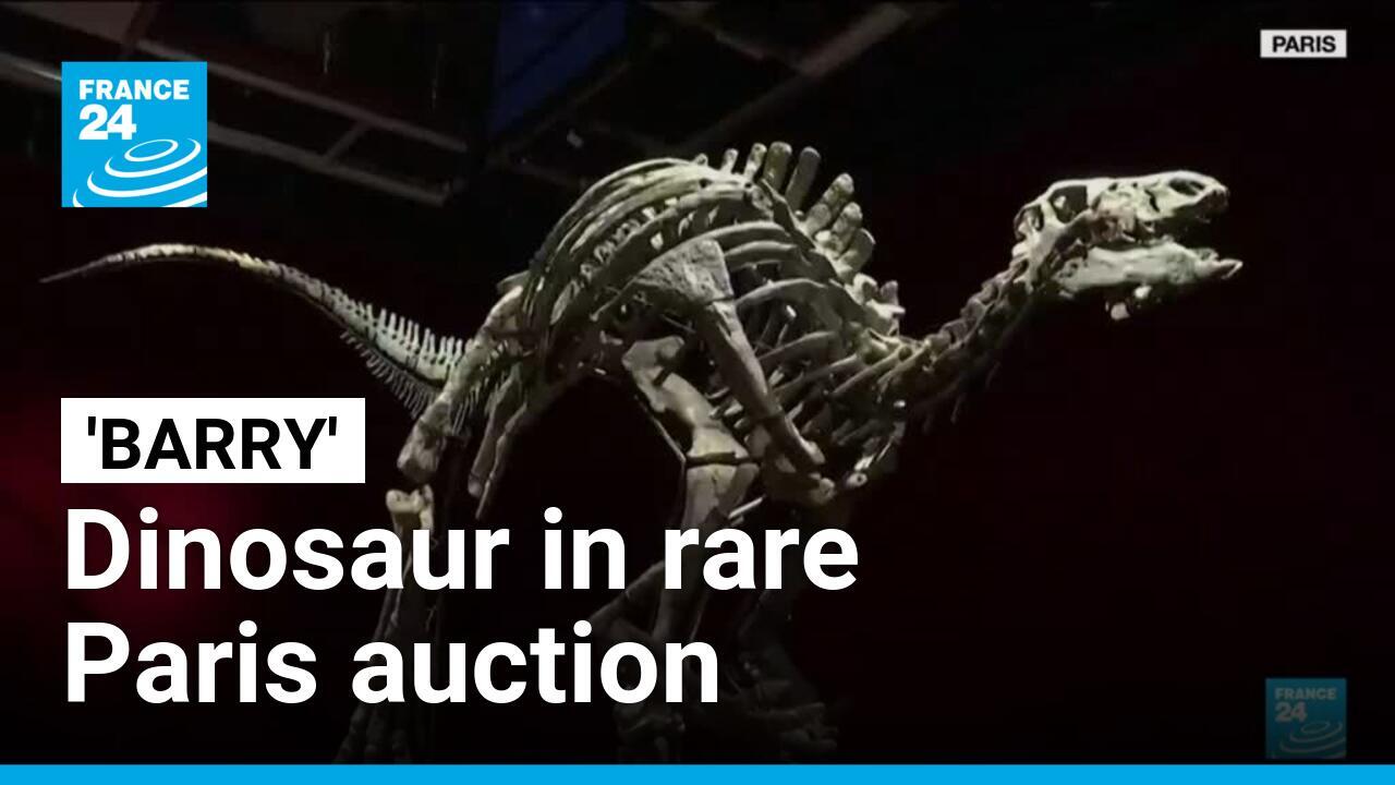 Dinosaur known as 'Barry' goes on sale in rare Paris auction France 24(01)